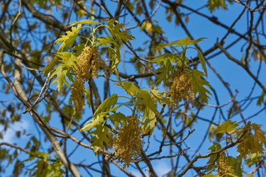 Similar image 21809314