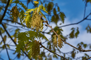 Similar image 21809315