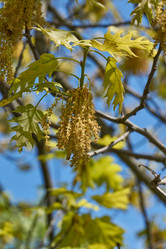 Similar image 21809316