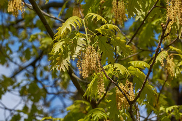 Similar image 21809317