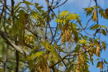 Similar image 21809318