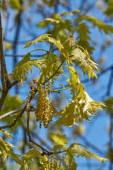 Similar image 21809319