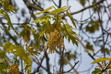 Similar image 21809320