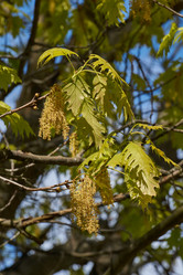 Similar image 21809321