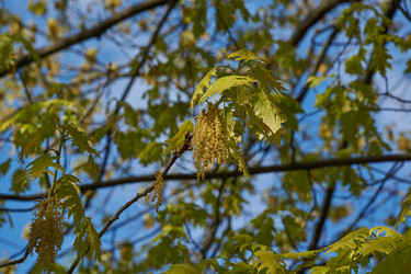 Similar image 21809324