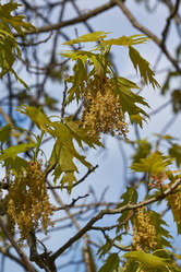 Similar image 21809325