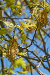 Similar image 21809326