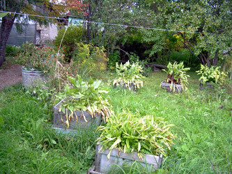 Similar image 21809727