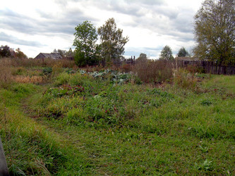 Similar image 21809728