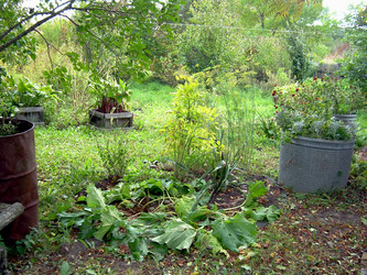 Similar image 21809730