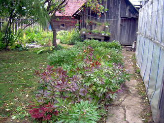 Similar image 21809731