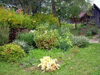 Similar image 21809732