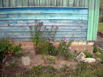 Similar image 21809734