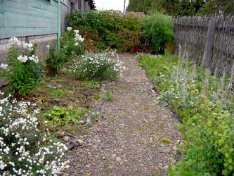 Similar image 21809736