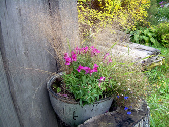 Similar image 21809741