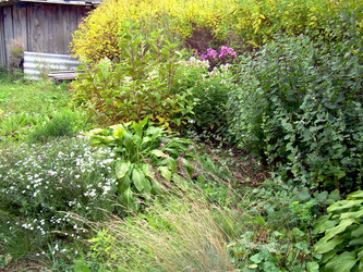 Similar image 21809743