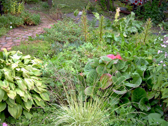 Similar image 21809744