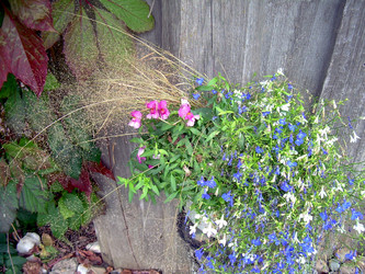 Similar image 21809745