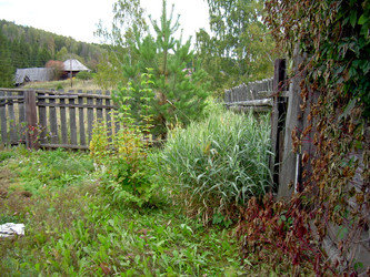 Similar image 21809747