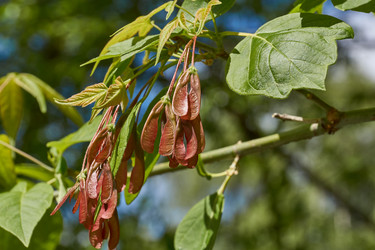 Similar image 21809327