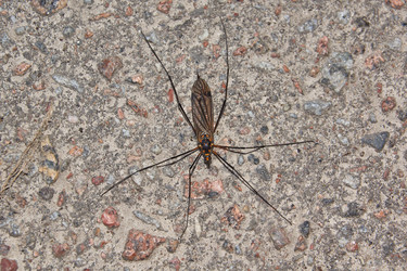 Similar image 21809329