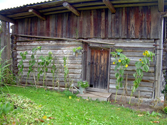 Similar image 21809752