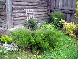 Similar image 21809459