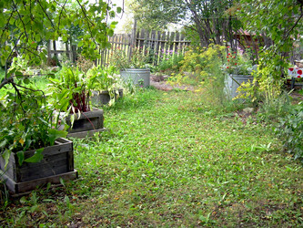 Similar image 21809462