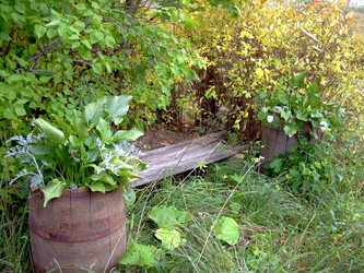 Similar image 21809463