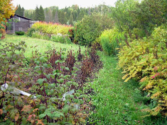 Similar image 21809465