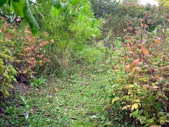 Similar image 21809467