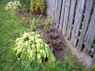 Similar image 21809468