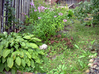 Similar image 21809469