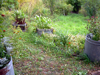 Similar image 21809470