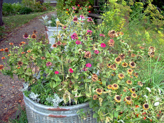 Similar image 21809475