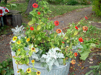 Similar image 21809477