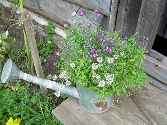 Similar image 21809478