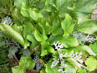 Similar image 21809479