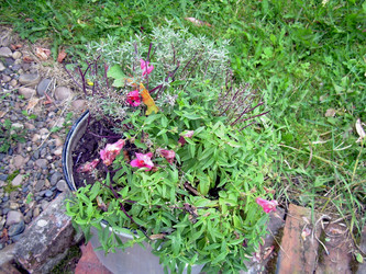 Similar image 21809482