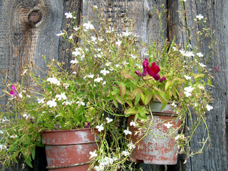 Similar image 21809483