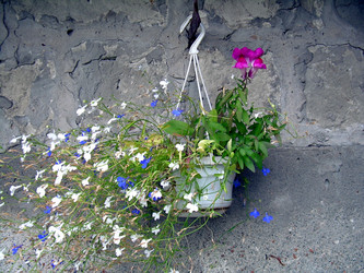 Similar image 21809484