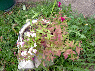 Similar image 21809485