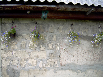 Similar image 21809486