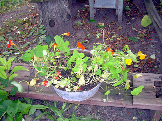 Similar image 21809487