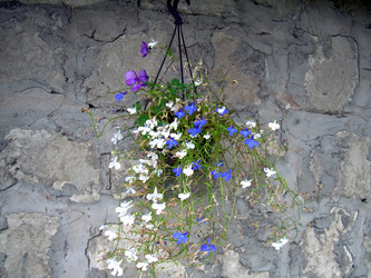 Similar image 21809488