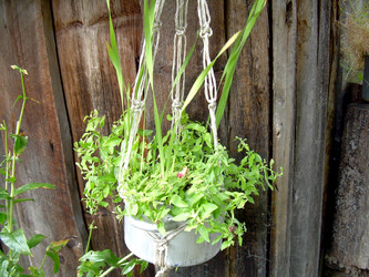 Similar image 21809489