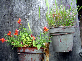 Similar image 21809490