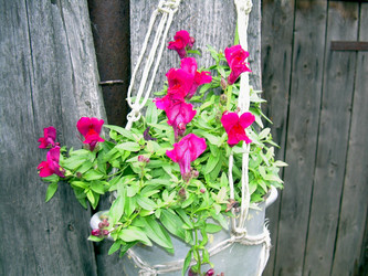 Similar image 21809491