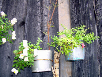 Similar image 21809492