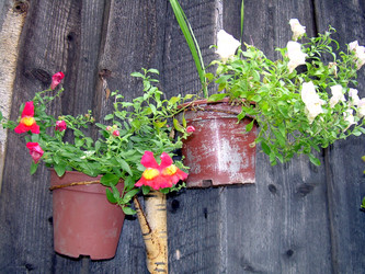 Similar image 21809493